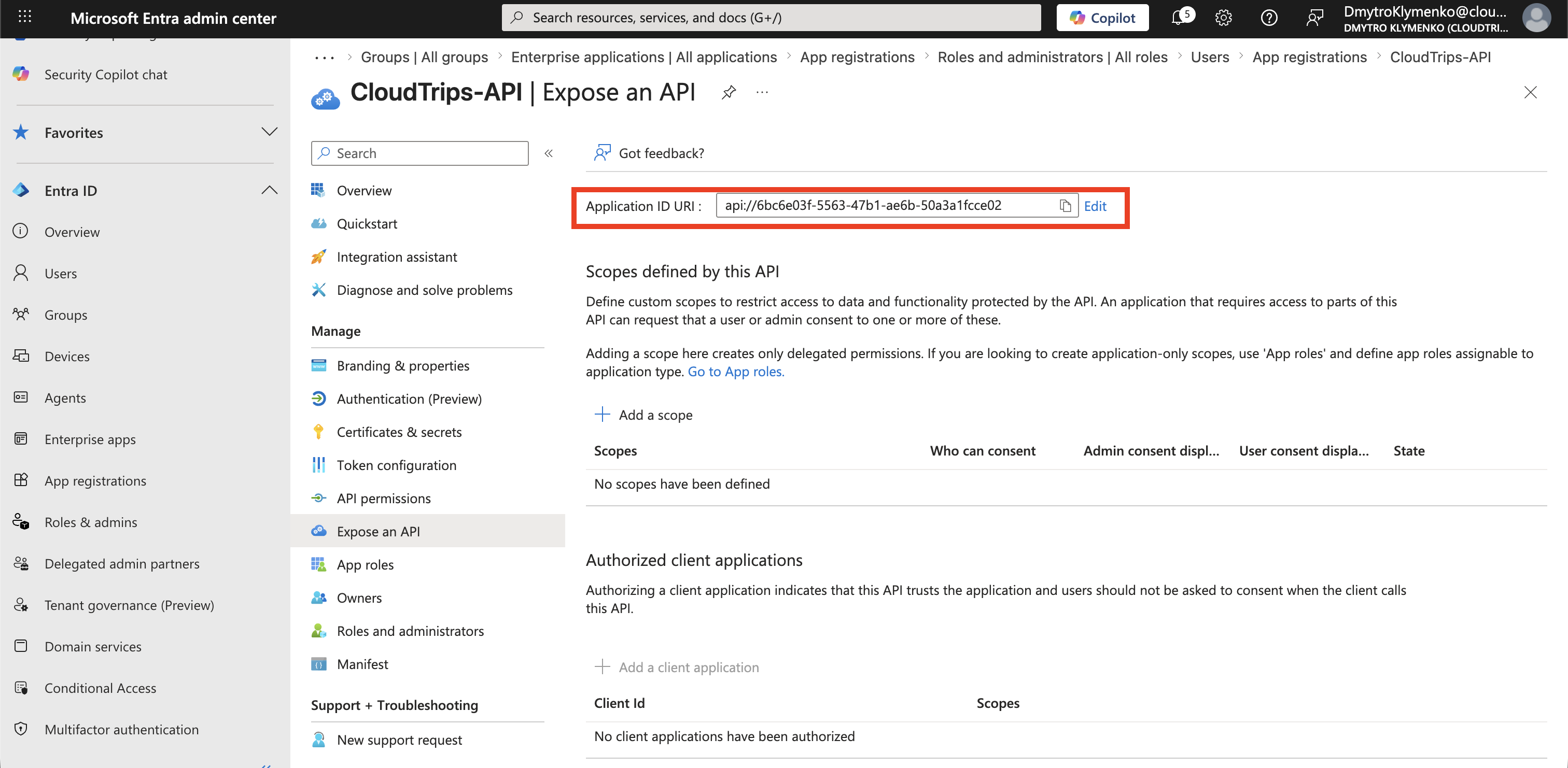 CloudTrips API App Registration auf der Expose an API Seite mit konfigurierter Application ID URI