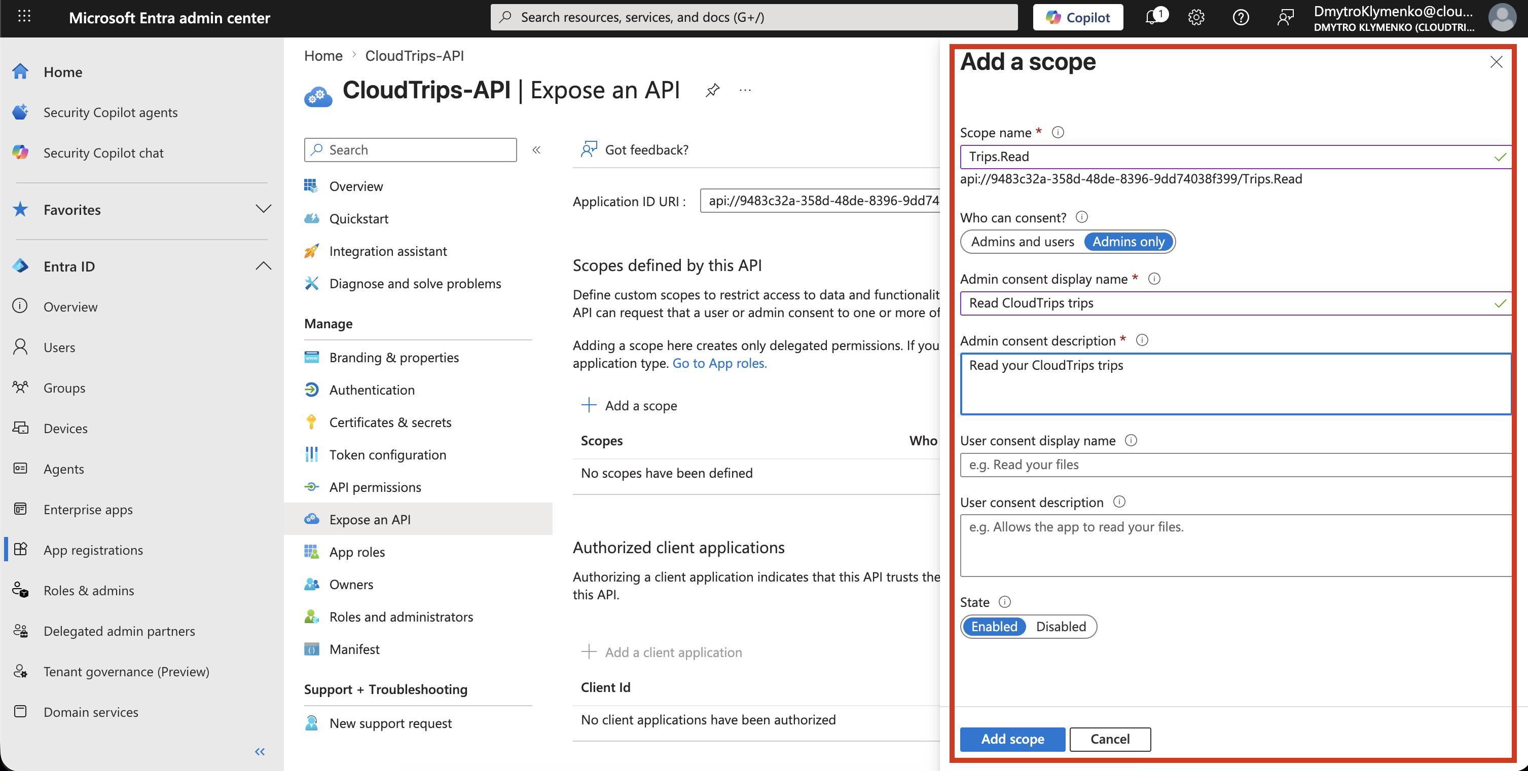 Add a scope Formular fuer CloudTrips API mit Trips.Read und Consent-Einstellungen