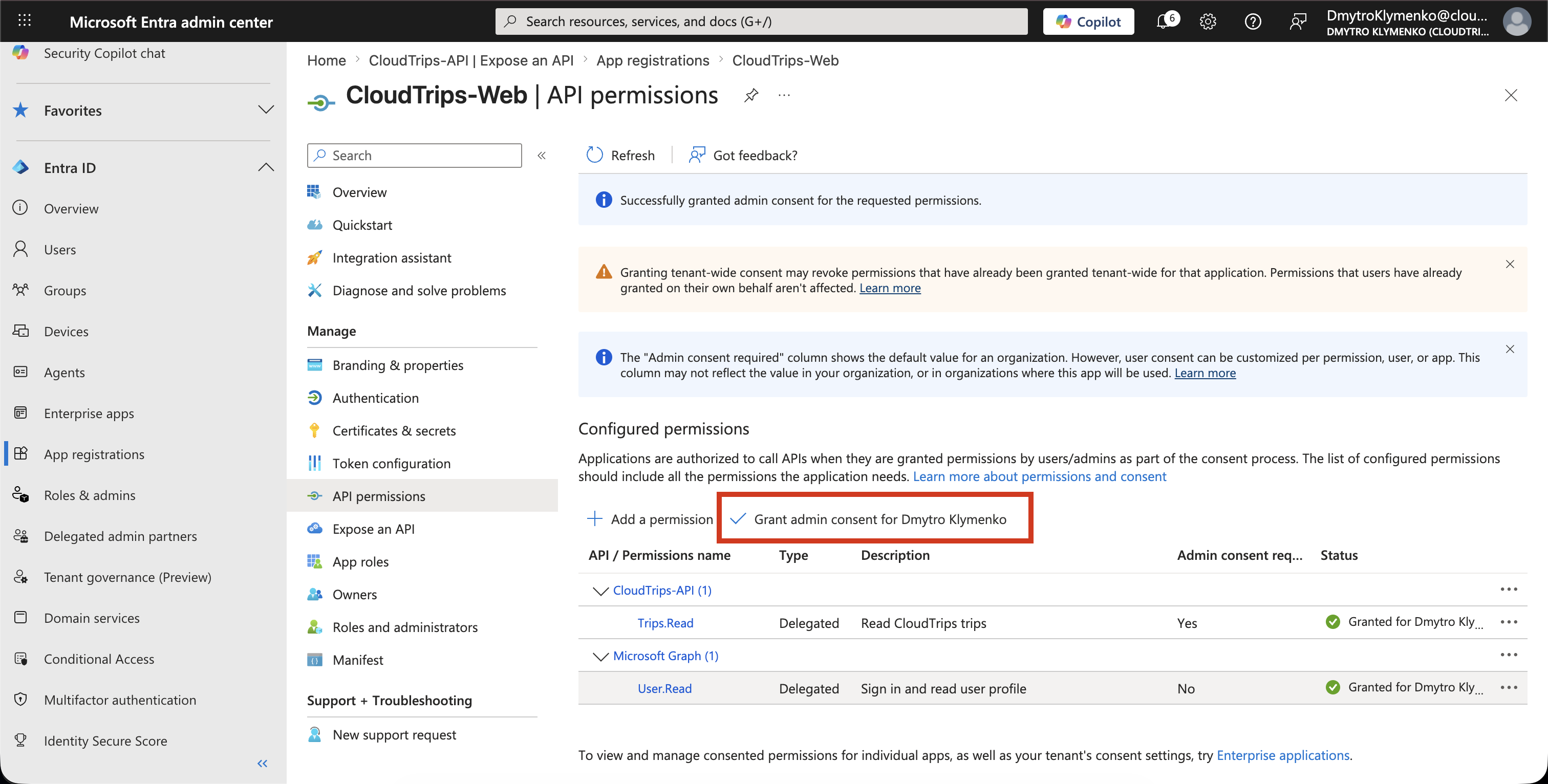 CloudTrips Web API permissions Seite nach erteiltem Admin Consent