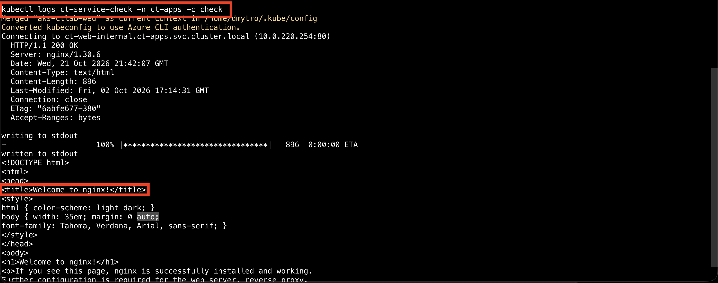 Logs von ct-service-check mit erfolgreichem internem HTTP-Aufruf und NGINX-Seite.