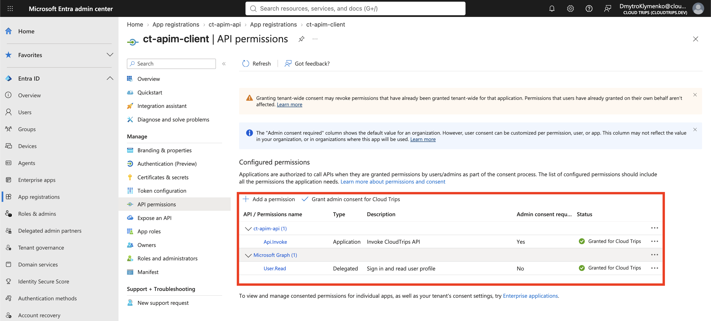 Client app API permissions showing the Api.Invoke application permission granted for ct-apim-api.