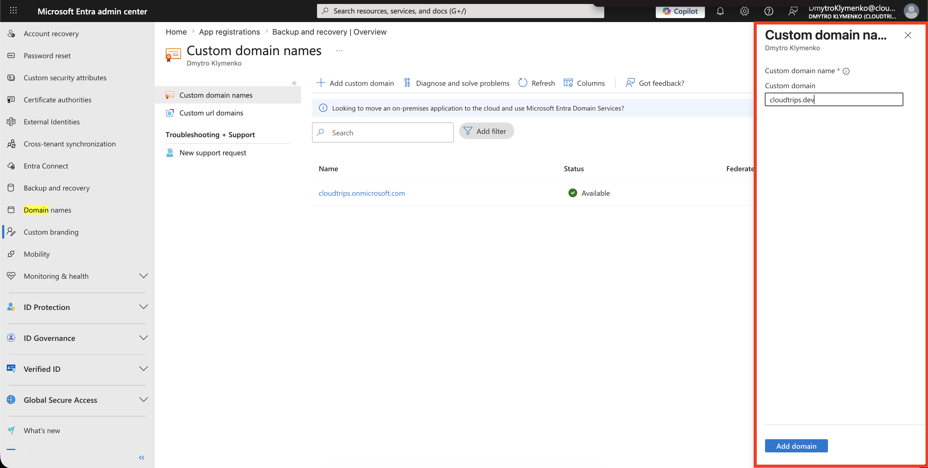 Add custom domain Seite mit eingetragenem Custom-Domain-Namen