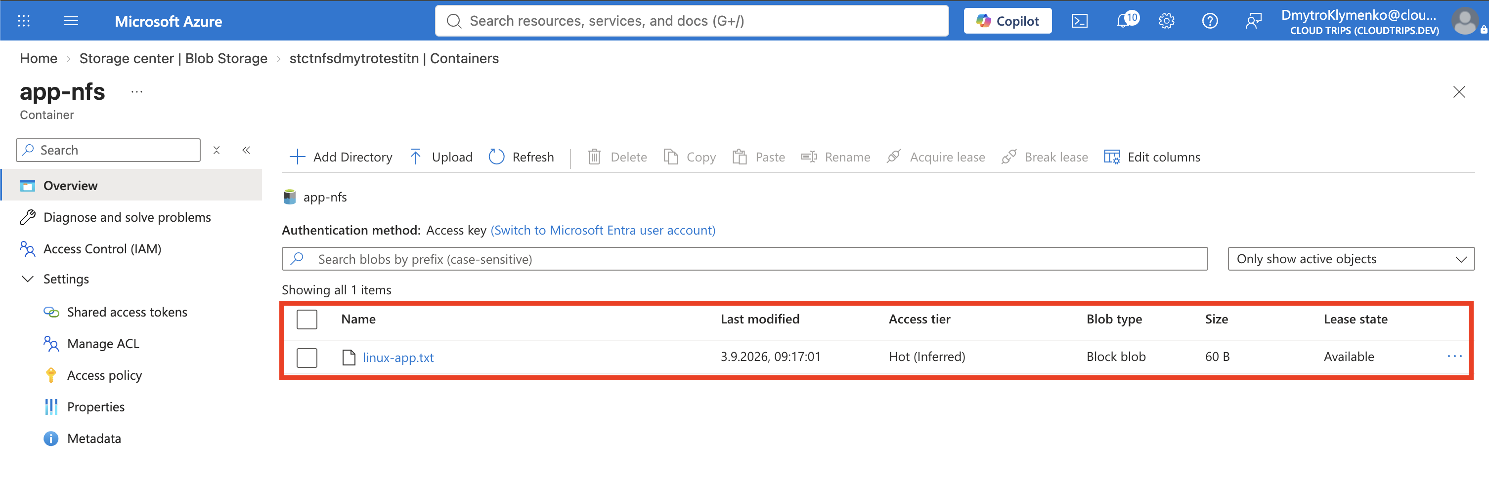 Azure portal showing linux-app.txt in the app-nfs container after the Linux write