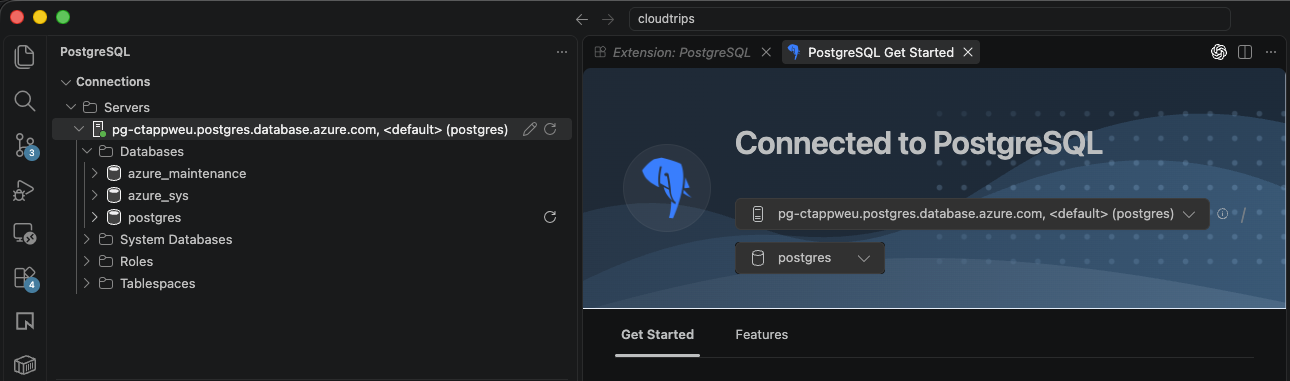 PostgreSQL-Verbindung in VS Code mit pg-ctappweu und der Datenbank postgres