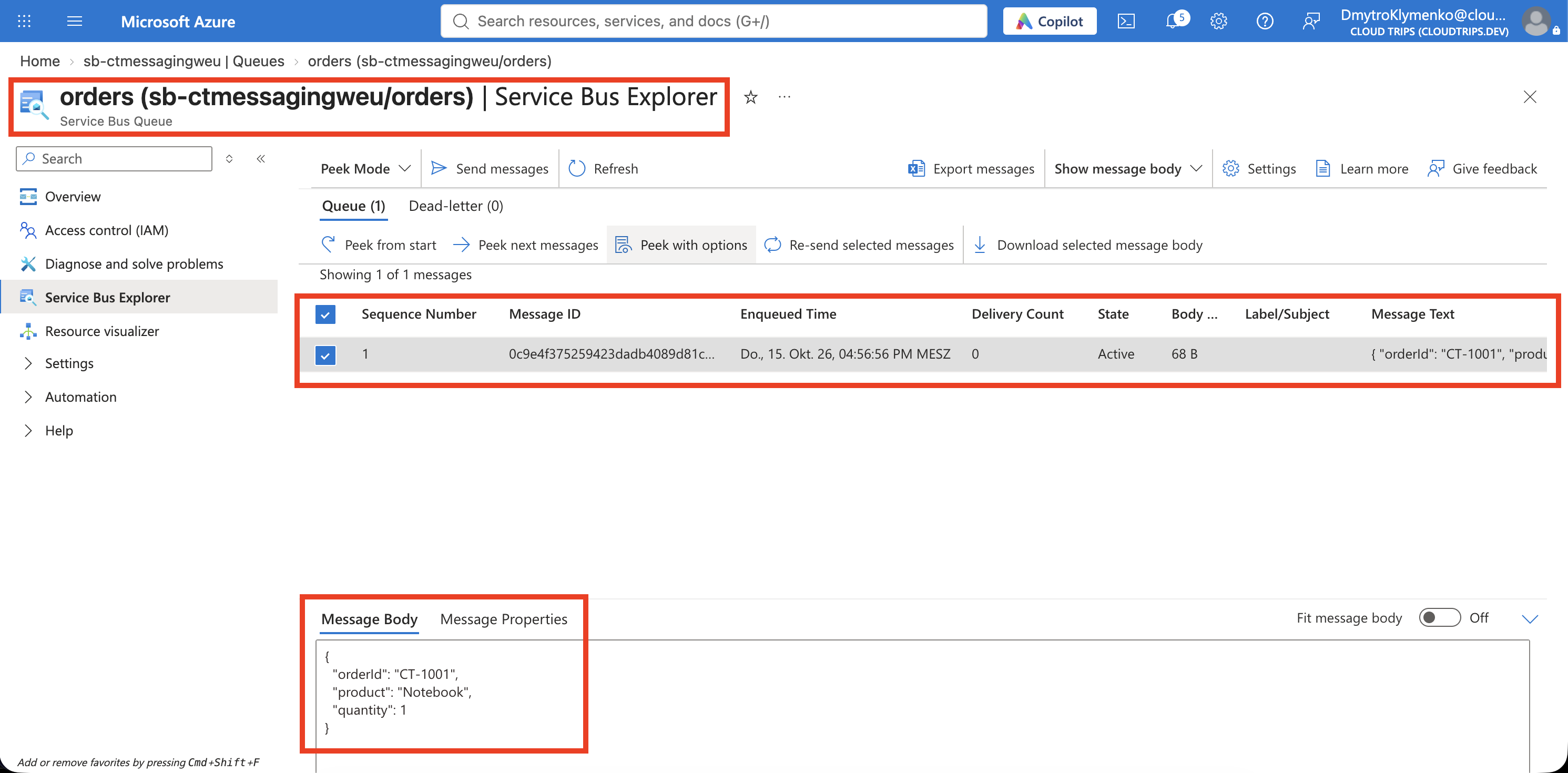 Service Bus Explorer mit der eingereihten Bestellung und ihrem JSON-Inhalt.