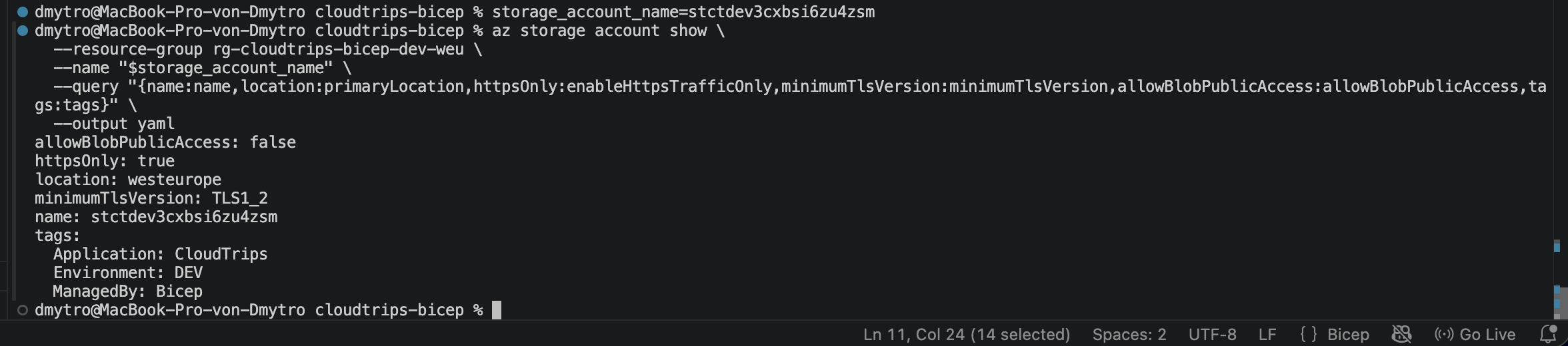Deployed CloudTrips DEV storage account showing the security settings and Bicep-managed tags