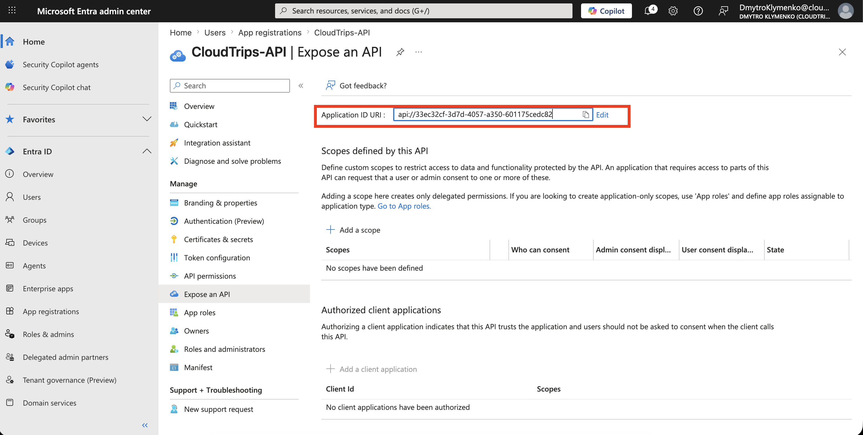 CloudTrips API App Registration auf der Expose an API Seite mit konfigurierter Application ID URI