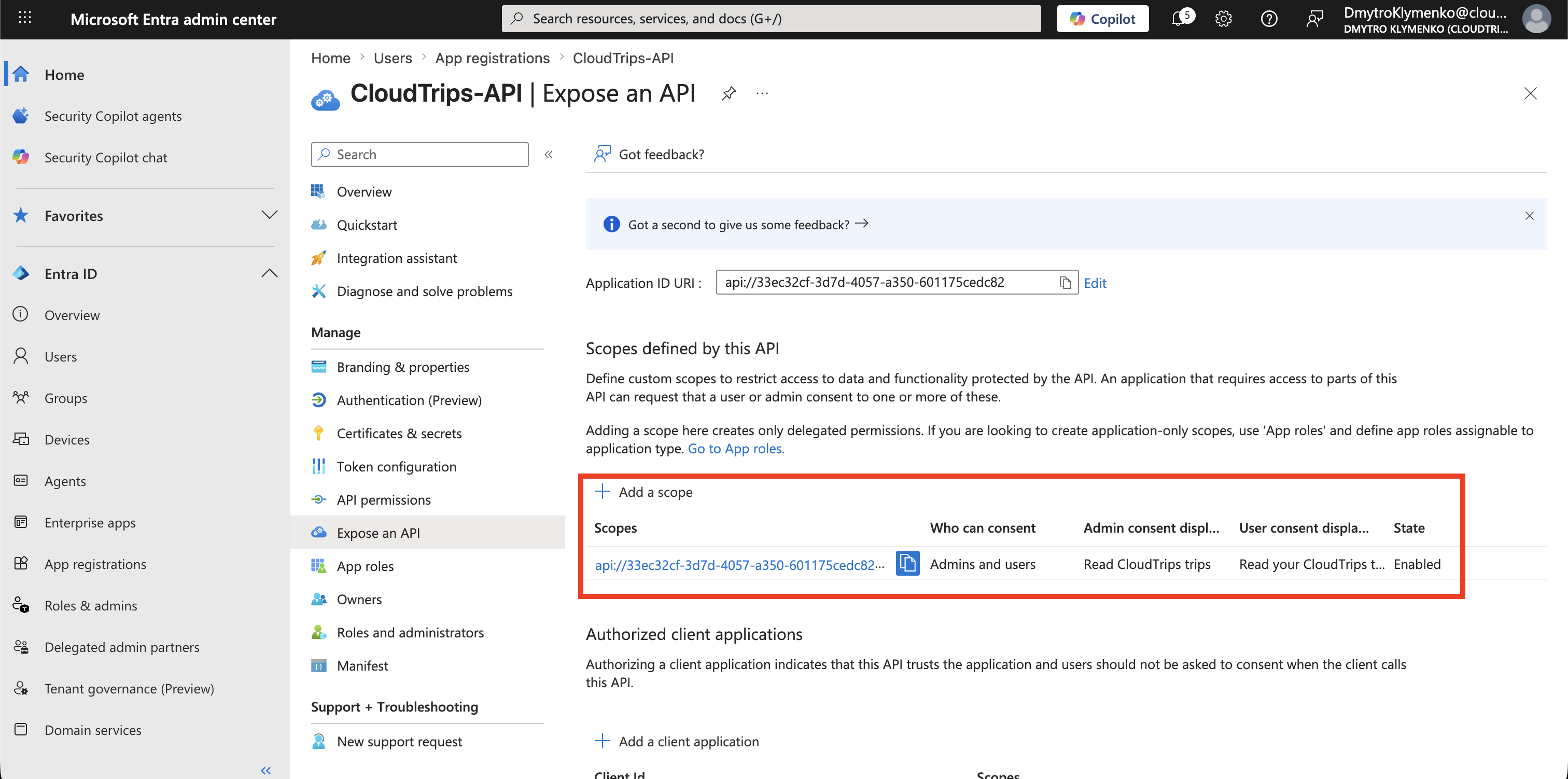 Add a scope Formular fuer CloudTrips API mit Trips.Read und Consent-Einstellungen