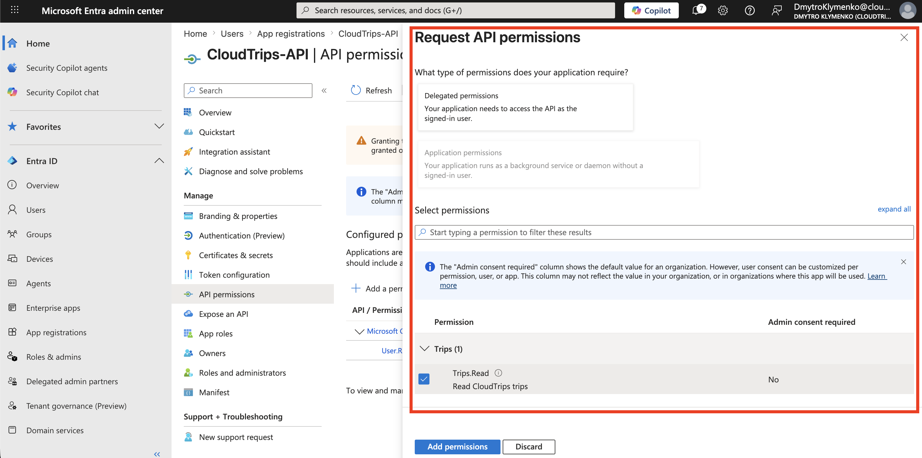 CloudTrips CLI API permissions Seite mit ausgewaehlter delegierter CloudTrips API Berechtigung Trips.Read