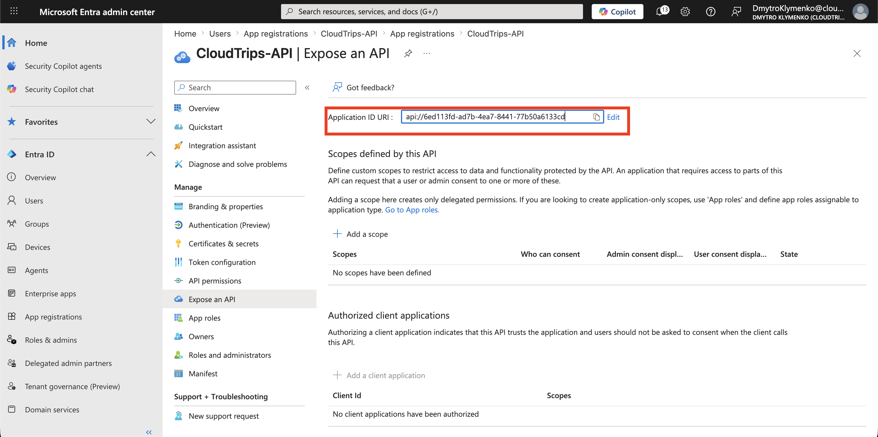 CloudTrips API Expose an API page with the Application ID URI configured
