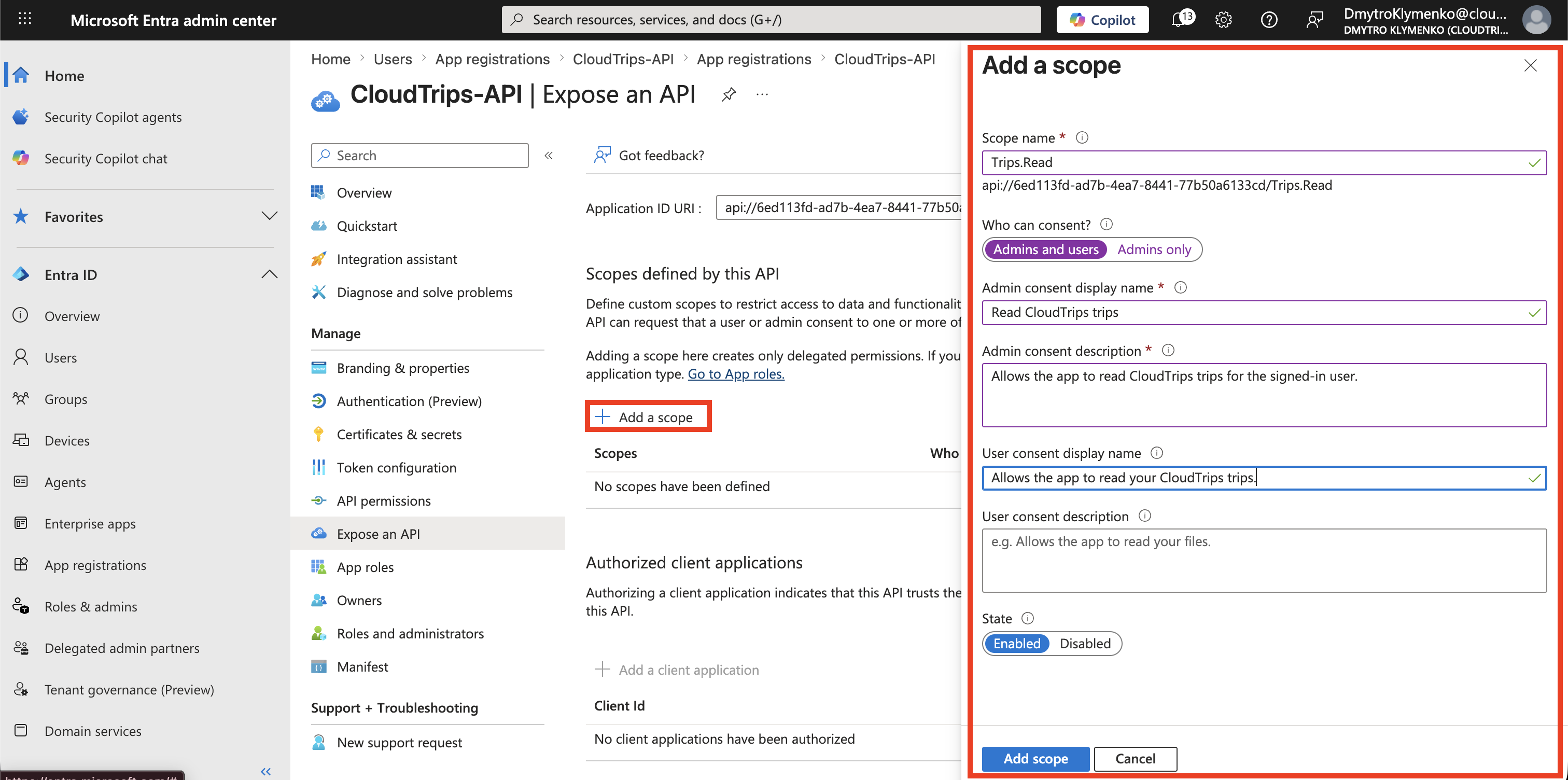 Add a scope form showing Trips.Read and consent display values
