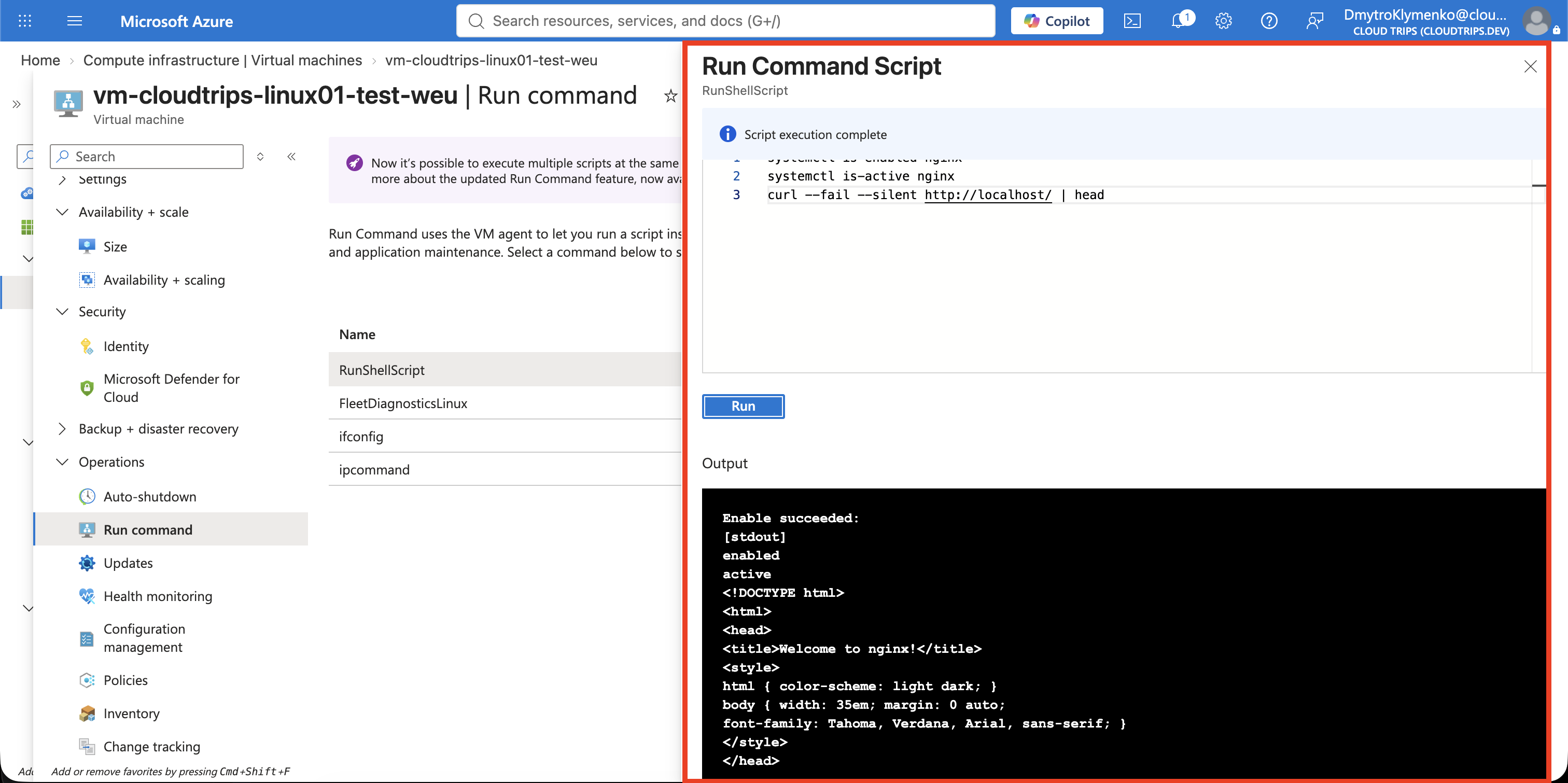 Run-Command-Ausgabe mit aktiviertem und aktivem NGINX sowie der lokalen Willkommensseite